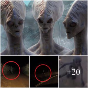 Unexpected Encounter: Aliens Accidentally Captured on Camera"