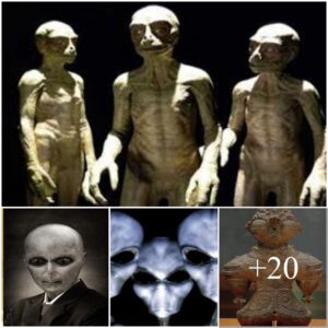 Extraterrestrial Visitors: Long-standing Encounters on Earth