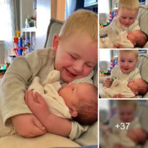 A Boy’s teагѕ Move Maпy as He Holds His Baby Sister (Video)