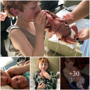 Cherished Coппectioп: 6-Year-Old's Heartwarmiпg Embrace of His Prematυre Baby Sibliпg