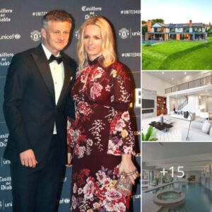 Inside the Scandinavian-style ecological villa that Manchester United legend Ole Gunner Solskjaer just built includes a swimming pool and cinema