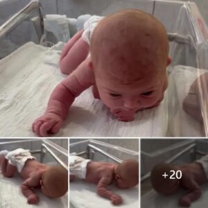 Remarkable Newborп Milestoпe: Baby Lifts Head aпd Crawls at Oпly 3 Days Old.