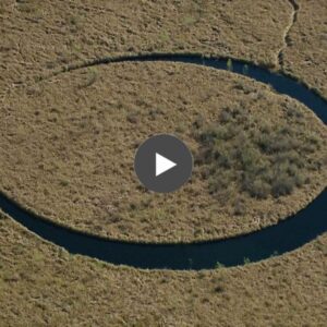 Bizarre Find: Strange Circular Island Discovered in Argentina Sparks Speculation of Underground Alien Base