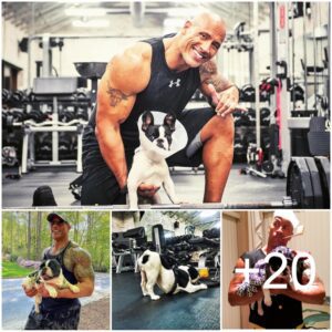 In Unsurprising Yet Adorable News, The Rock’s Dog, Hobbs, Works Out With Him