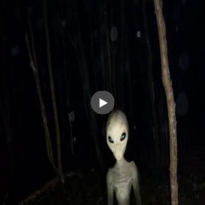 Decoding the Mystery of Aliens Captured in Brazil