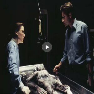 Alien Autopsy Report Unveils a Plethora of Secrets: Unraveling Extraterrestrial Mysteries