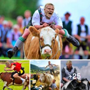 Erling Haaland’s Thrilling Adventure: Man City Star Takes on a Traditional Bull Race in the Serene Countryside of Flo, Norway recorded by camera