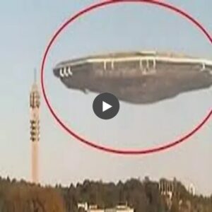 Spectacular Sighting: Massive Extraterrestrial UFO Emerges Abruptly in the Sky, Captivating Witnesses