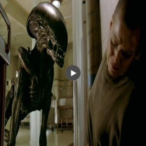 The Extraterrestrial Encounter: When Aliens Meet Humanity