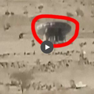 Alien UFO Touches Down in a Desert Discovery