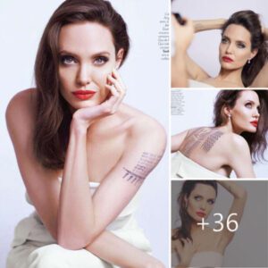 Angelina Jolie: Luxury and Seduction