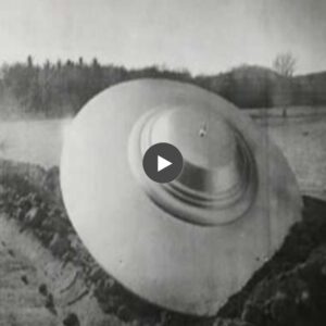 Researcher Provides Alleged Proof of 1933 UFO Crash in Italy