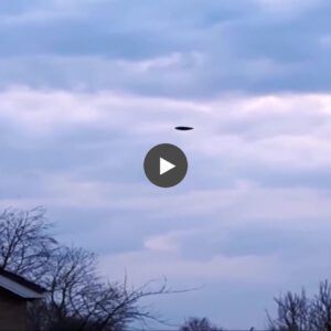 Japanese Government Dispatches Helicopters to Monitor Mysterious UFO in the Sky