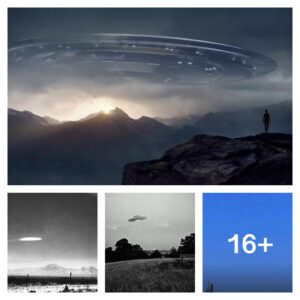 Enigmatic Phenomenon: Unidentified Ring-Shaped UFOs Puzzle Skywatchers