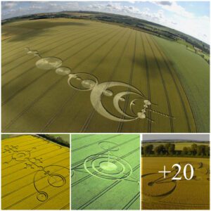 Mysterious Crop Circles: Alien Art or Extraterrestrial Messages to Earth