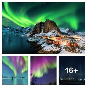 Aurora: Exploring the Enchanting Phenomenon of Northern Lights and Polar Illumination