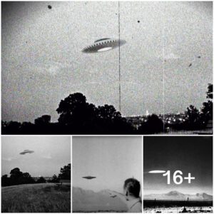 The Westall Incident: Unveiling the Enigma in Melbourne's Sky, Australia (1966)