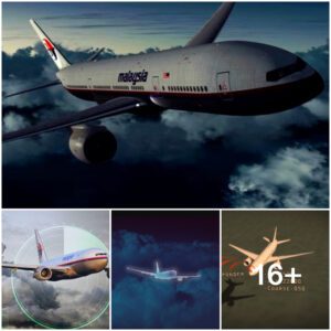 The Enigmatic Disappearance of Flight MH370: Unveiling Mysteries in the Dark Sky