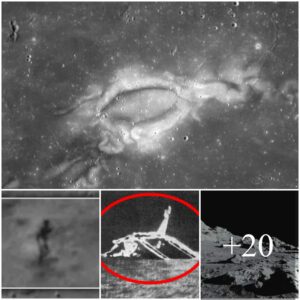 The Moon's Mysterious Magnetic Field Signal: Alien Hideout