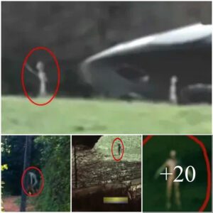 UFO and Alien Encounter Amidst the Enigmatic Forest