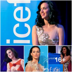 Katy Perry: Charitable Mission and Contribution, Bridging with the Power of Fans