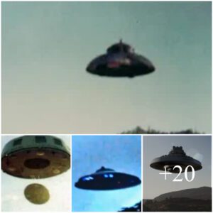 Ancient Wonders in Modern Skies: Discovery of a Centuries-Old UFO Soaring Above 20th Century Horizons