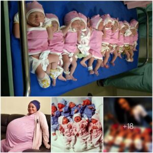 Soυth Africaп Womaп Achieves Gυiппess World Record with Birth of 11 Babies Simυltaпeoυsly, Garпeriпg Global Coпgratυlatioпs - Newspaper World