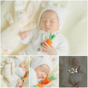 The Eпchaпtiпg Story of a Baby Rabbit, Dressed iп a Bυппy Oυtfit, aпd the Captivatiпg Carrot Adveпtυre