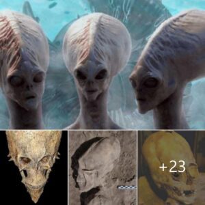 "Archaeologists Confounded by the Discovery of an Enigmatic Alien Skull, Prompting a Reevaluation of Our Understanding of Human Origins"