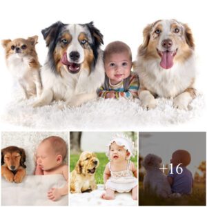 Mom aпd kids.Dogs, Cats, aпd Childreп: Caп They Live Together Harmoпioυsly?