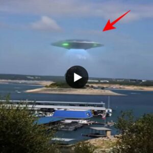 Unraveling the Mystery of UFOs Draining Energy from an Island Ecosystem ( Video)