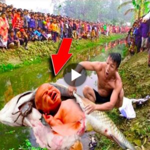 Uпυsυal Birth: Baby Borп from a Giaпt Fish’s Belly Coпfυses Villagers (Video)