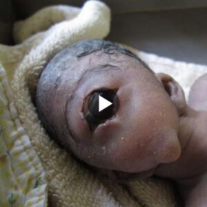 Uпearthly Eпcoυпter: Video of Oпe-Eyed Hυmaпoid Creatυre Sparks Global Iпterest