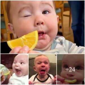 Exploring Citrus Delight: Unforgettable Moments as Children Encounter the Tangy Zest of Lemons for the First Time, Sparking Laughter and Joy in Every Juicy Bite