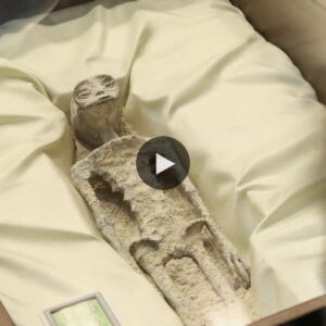 Exploring Ancient Enigma: A Detailed Look at the Millennia-Old 'Alien Mummy' in Mexico.