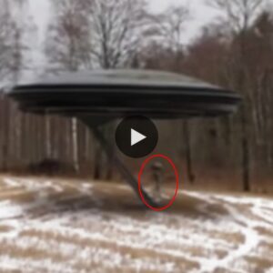 A Romanian guy captures an alien entering a UFO and taking off (VIDEO)