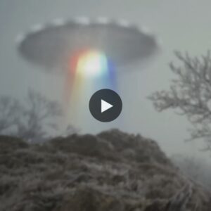 A whole community in Seward, Alaska, saw UFOs, and aliens were seen there (VIDEO)