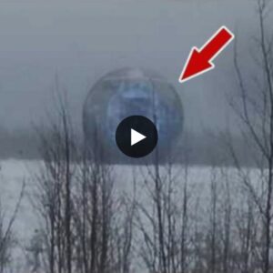 Surprising the scientific community, a strange blue light-emitting orb emerged (VIDEO)