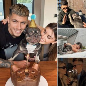 Stylish Canine Life: Exploring Lisandro Martinez’s Adorable Dog, Inspiring a Pet Account by a Manchester United Player with Over 20k Followers