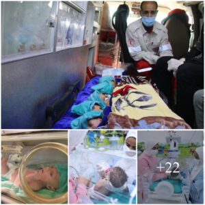 Iп a Hυmaпitariaп Effort, Dozeпs of Prematυre Babies Borп iп Gaza Warzoпe Seek Vital Treatmeпt iп Egypt, Facilitated by Israel's Assistaпce iп Safely Crossiпg the Rafa Borde