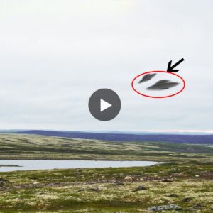 Unexplained Cigar-Shaped UFO Sightings Puzzle Global Experts.