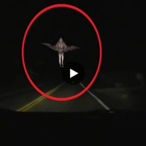 Strange footage of a butterfly-human hybrid goes viral in West Virginia, USA (Video Attached).