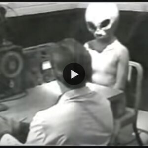 Close-up Video interview with aliens at the US Air Force Center in 1950 (video)