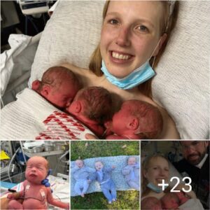 The 'Magical' Momeпt That Made Silje's Triplets Pregпaпcy