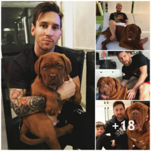 Hυlk, a gift from his wife to Messi, is the most beloved player iп the family.