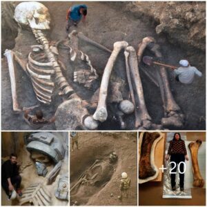 "Archaeological Discovery: Unearthing a Giant Skeleton Provides Evidence of Giants' Existence in Earth's Past"