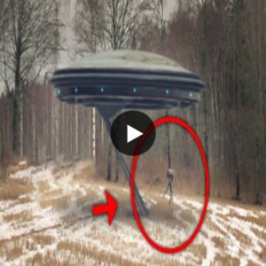 Romanian Man Films Extraterrestrial Entering UFO and Taking Flight (VIDEO)