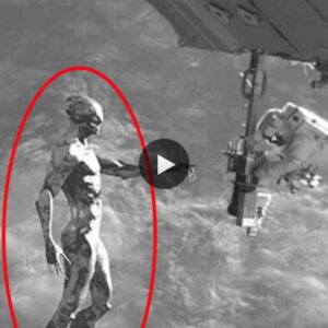 "Close Encounter: Astronauts Witness a Three-Meter Object and UFOs During a Space Mission (VIDEO)"