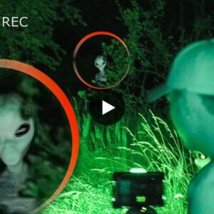 The alien was recorded on tape one night in an anomalons forest (Video)