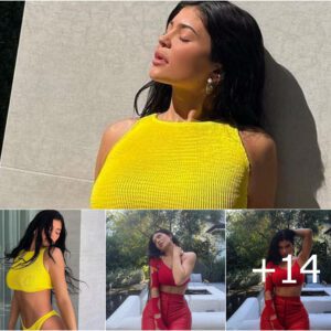 Kylie Jenner Sparks Internet Frenzy Again with Sizzling Nude Photos